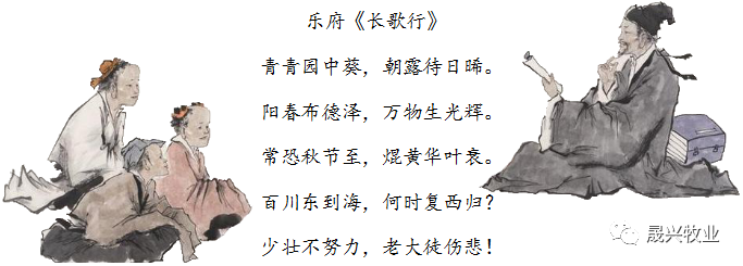 Welcome to �Ǽ�����xj1277��(�й���)�ٷ���վ