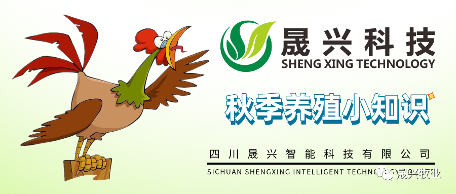 Welcome to �Ǽ�����xj1277��(�й���)�ٷ���վ