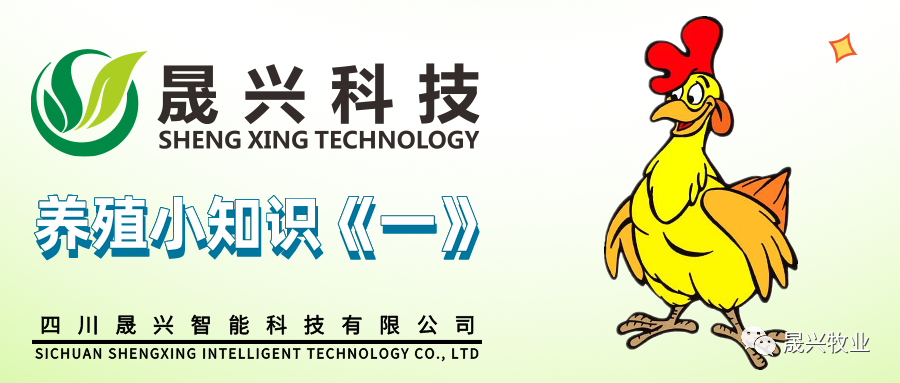 Welcome to �Ǽ�����xj1277��(�й���)�ٷ���վ