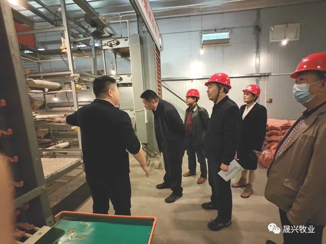 Welcome to �Ǽ�����xj1277��(�й���)�ٷ���վ