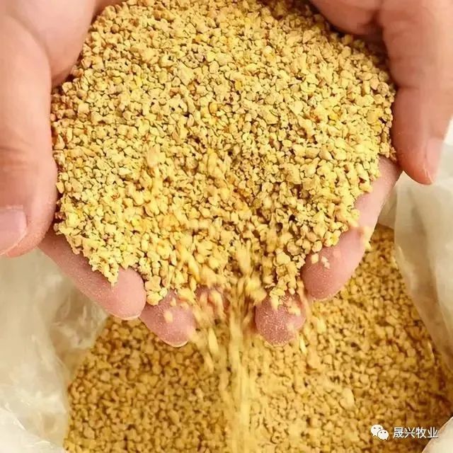 ������ֳװ��