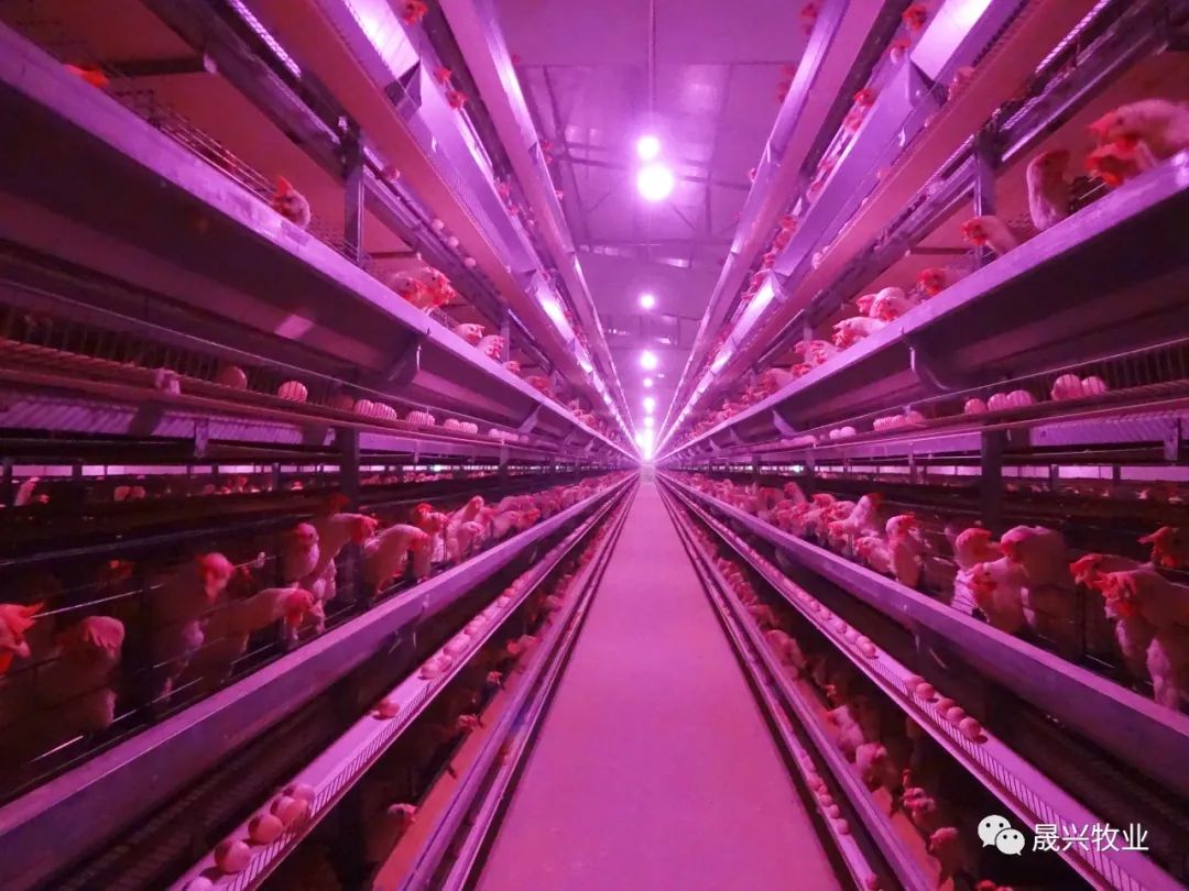 ���ܻ�����װ��