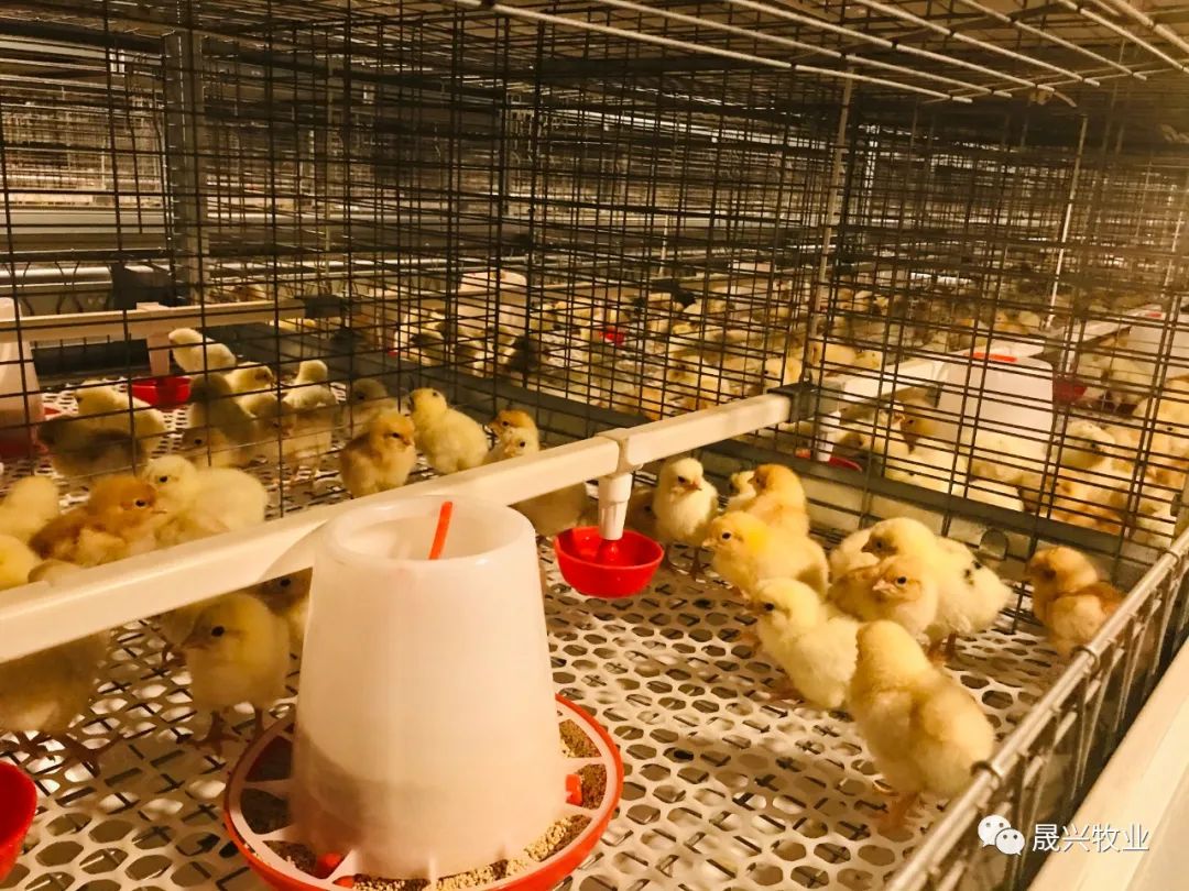 ���ܻ�����װ��