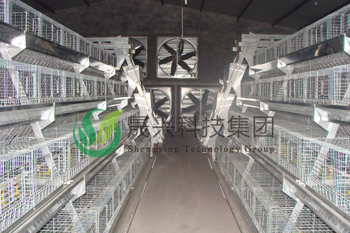 ���꼦��ֳװ��