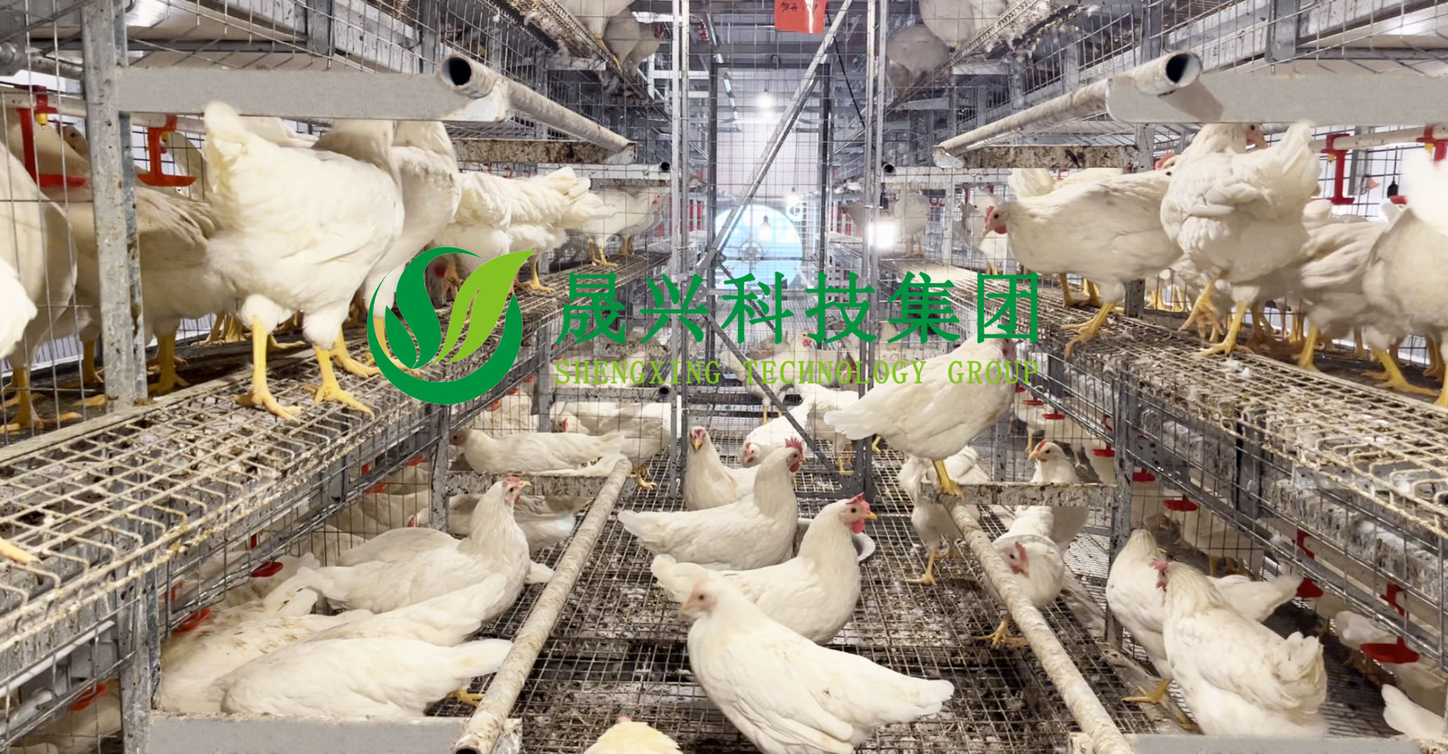 Welcome to �Ǽ�����xj1277��(�й���)�ٷ���վ