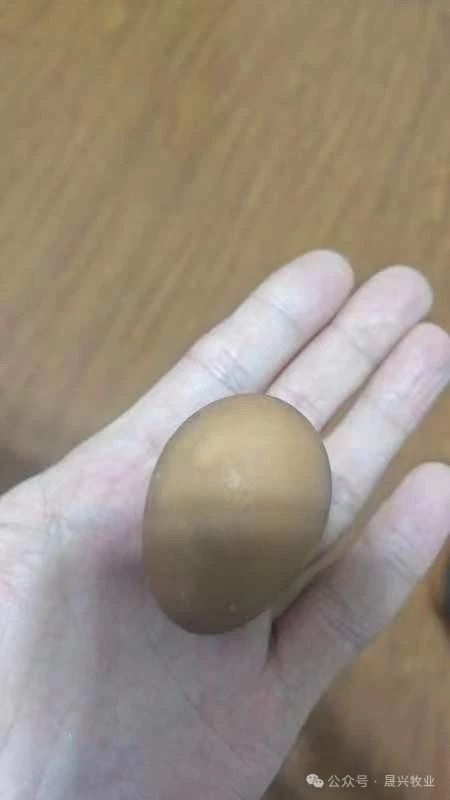 Welcome to �Ǽ�����xj1277��(�й���)�ٷ���վ