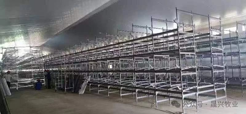 Welcome to �Ǽ�����xj1277��(�й���)�ٷ���վ