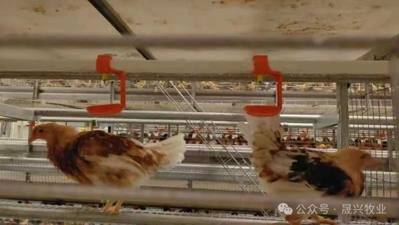 Welcome to �Ǽ�����xj1277��(�й���)�ٷ���վ