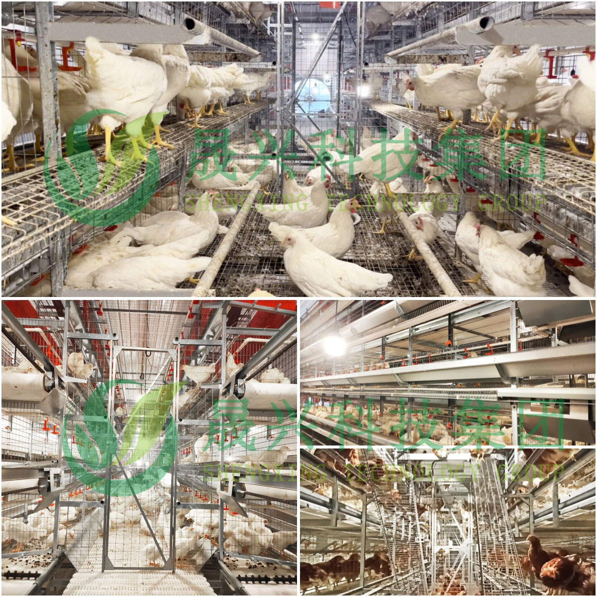 Welcome to �Ǽ�����xj1277��(�й���)�ٷ���վ