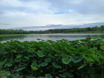 20220830110127_41664 S36沙龙会 - 要玩就玩沙龙会 - 官方