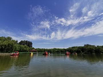 20220830110407_38985 S36沙龙会 - 要玩就玩沙龙会 - 官方